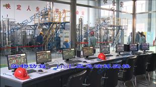 柴油加氫實物仿真裝置UTM-DHT